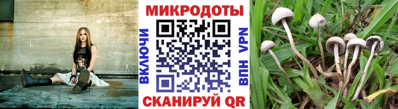 Галлюциногенные грибы Psilocybe  мега ТОР  Нарьян-Мар  где купить наркоту 